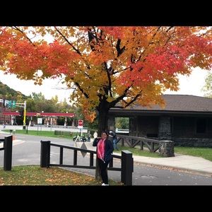 Meet your Posher, Simpal